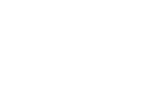 Delta_logo_wit